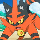 torracat